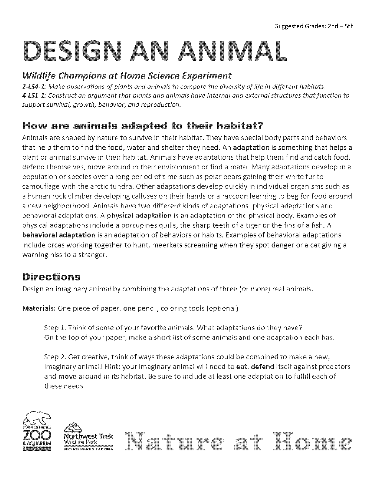 animal adaptations report template